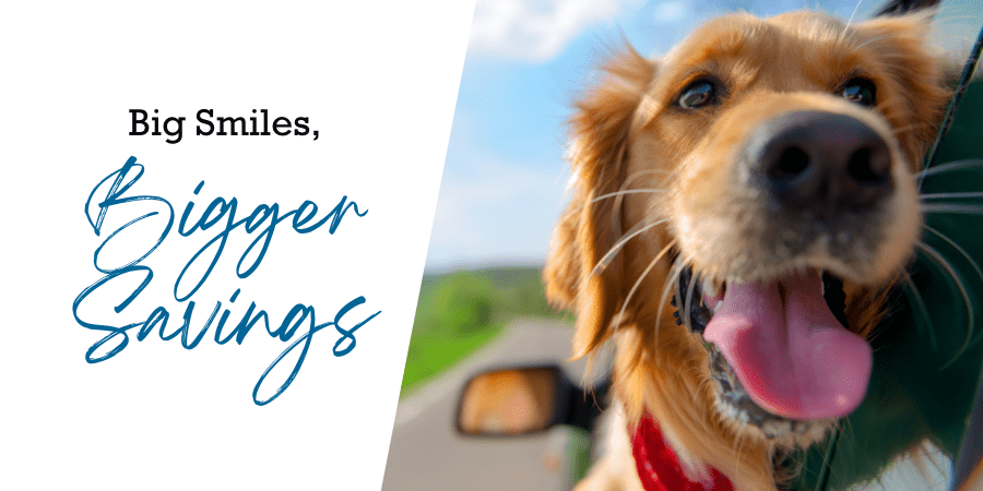 A smiling dog with his head out the window of a car. At the left, the words: big smiles, bigger savings