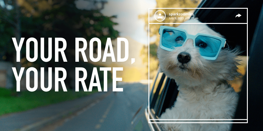 A small white dog with light blue sunglasses sticking his head out of a car window. At the left, the words: your road, your rate