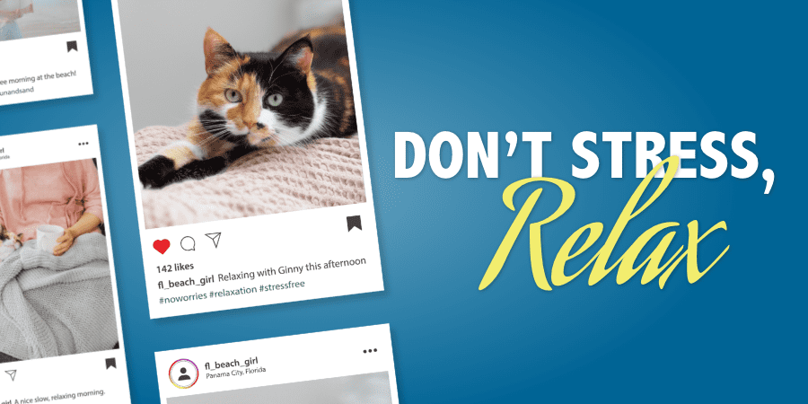 An Instagram feed focusing on a post of a cat relaxing on a blanket. At the right, the words: don't stress, relax