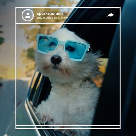A small white dog with light blue sunglasses sticking his head out of a car window.