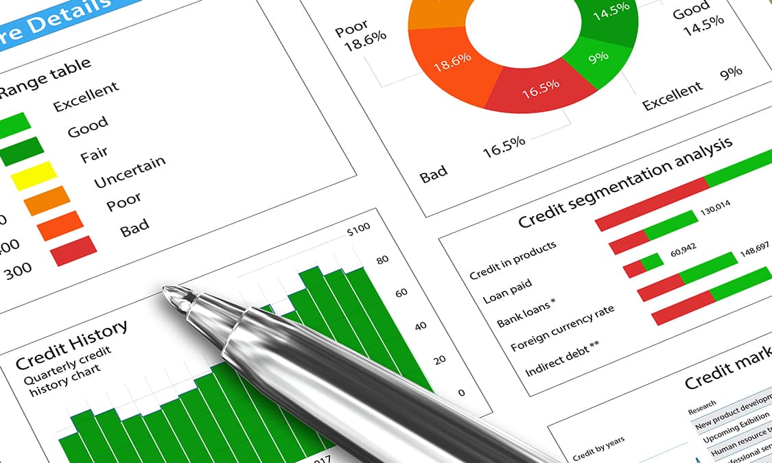 Credit report showing various graphs and metrics.