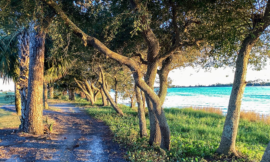 A gravel road alongside the coastline.